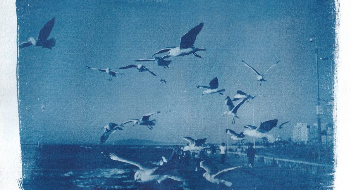 Cyanotype (untitled) created by Reza Khota on a workshop led by CHR artist-in-residence Ellen Holleman